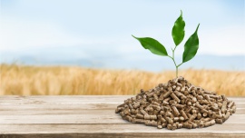 Ogrzewanie domu pelletem Energetyka, - Pellet to bez wątpienia jeden z najbardziej ekologicznych materiałów opałowych na świecie.